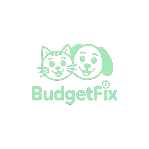 BudgetFix